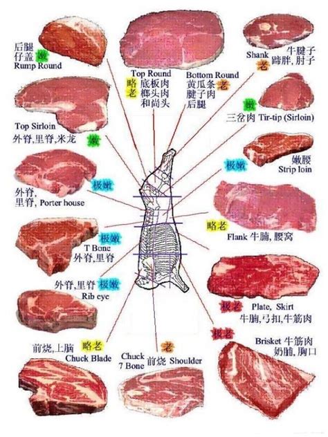 牛前是牛肉的哪个部位？
